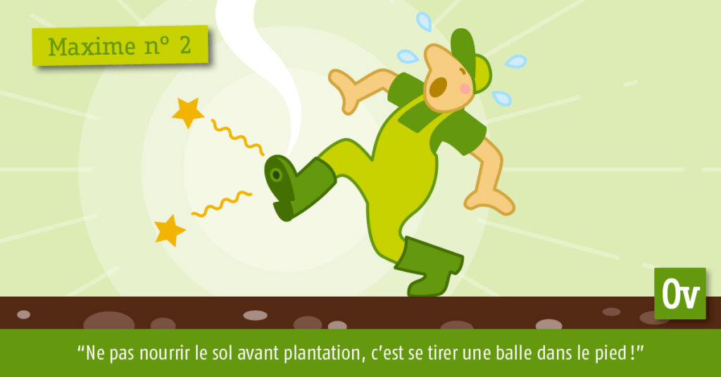 Ne pas nourrir le sol avant plantation, c’est se tirer une balle dans le pied !