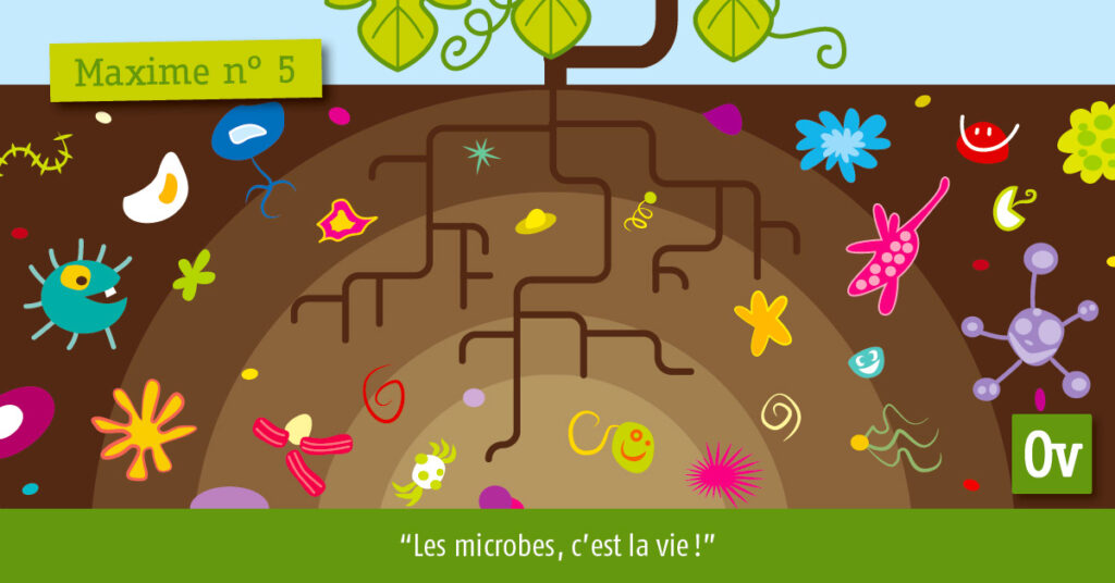 Les microbes, c’est la vie !
