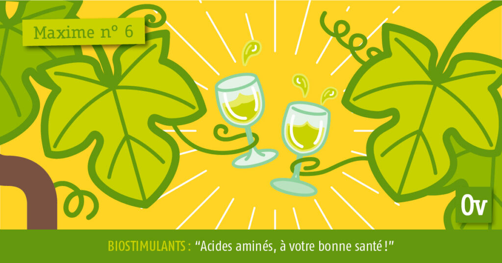Acides aminés, à votre bonne santé !