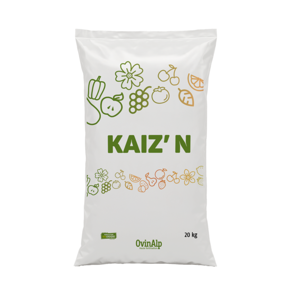 KAIZ'N