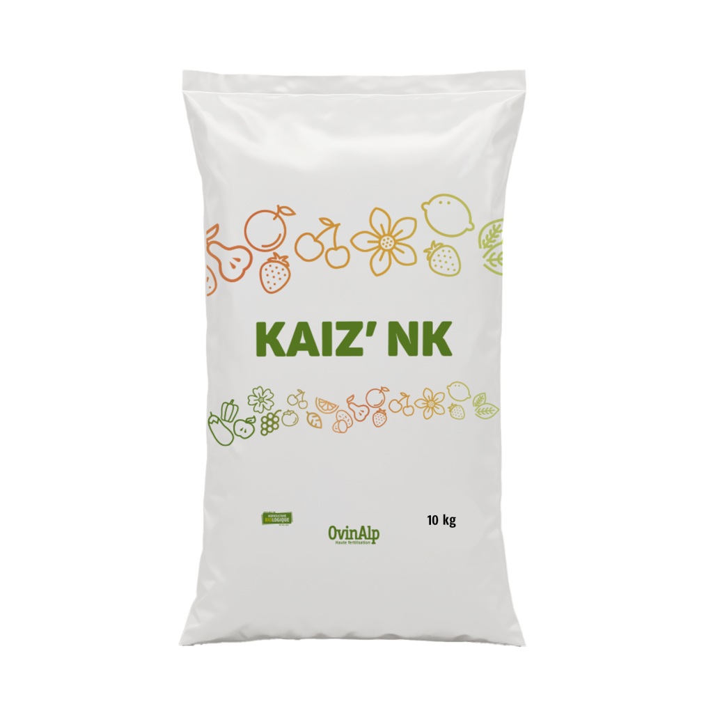 KAIZ'NK