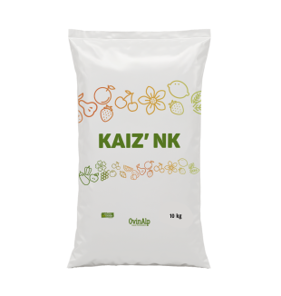 KAIZ'NK