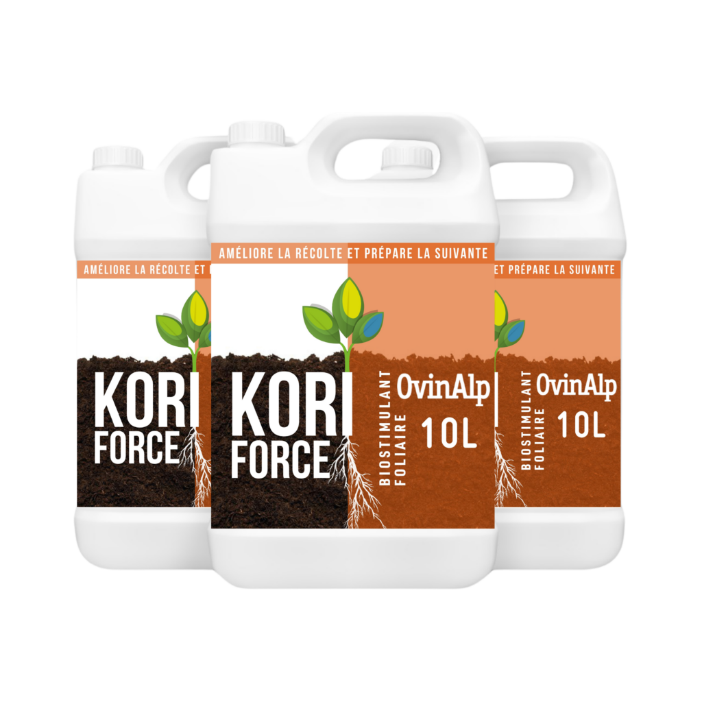 KORI FORCE