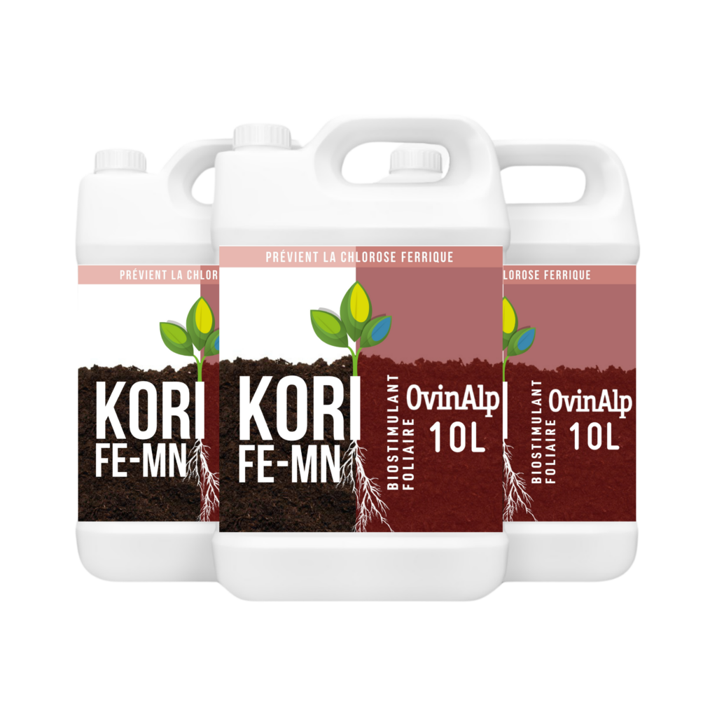 KORI FE-MN
