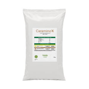 Caramino'K