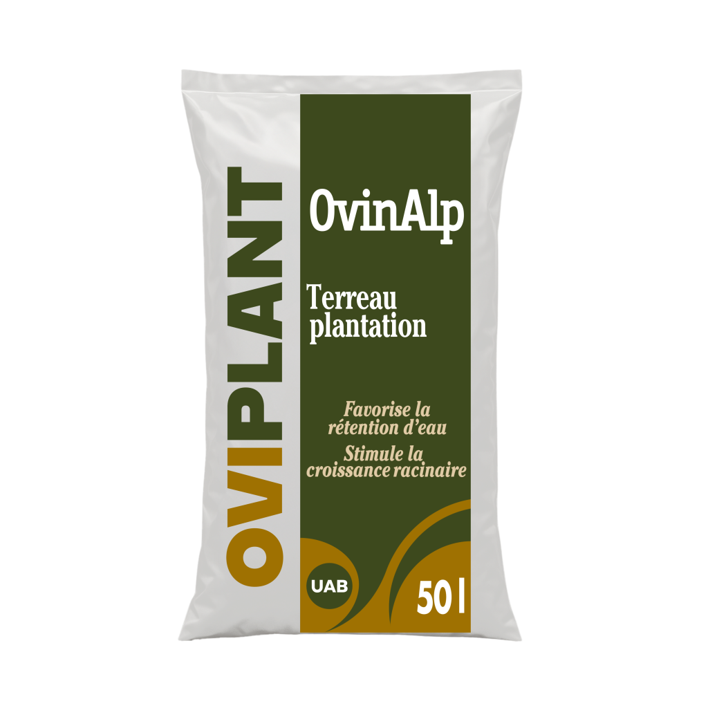 Oviplant