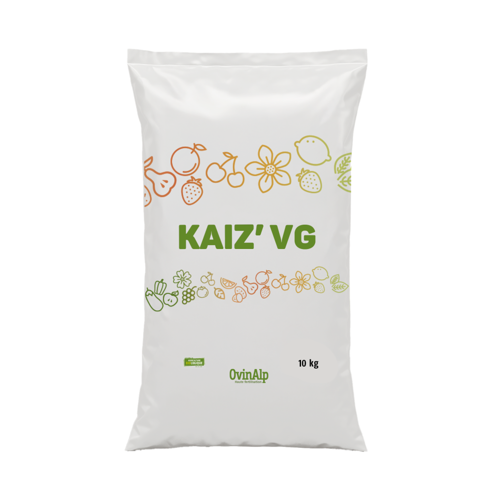 KAIZ'VG