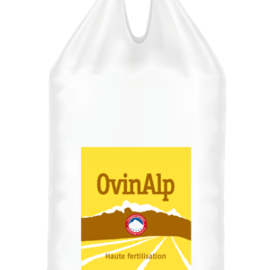 A6up