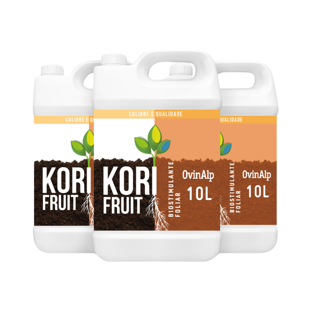 KORI FRUIT